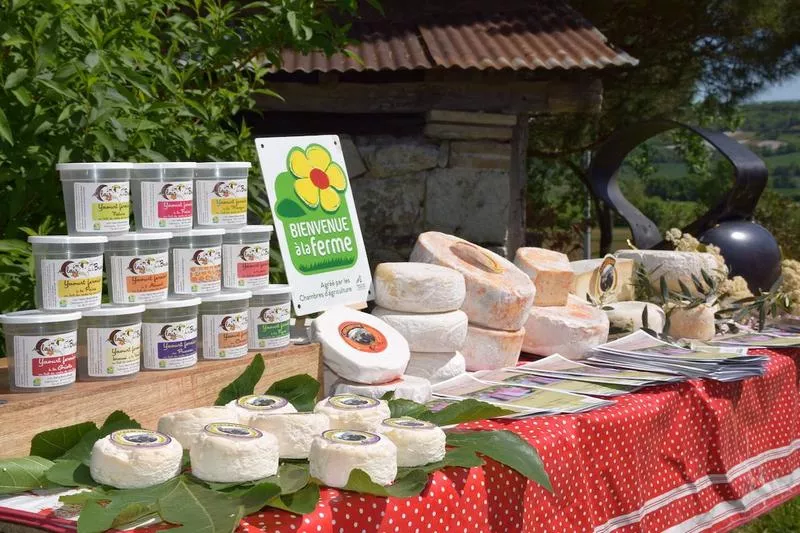 Ferme laitière, Montauban, Au Clair de la Brune