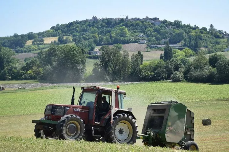 Ferme laitière, Montauban, Au Clair de la Brune