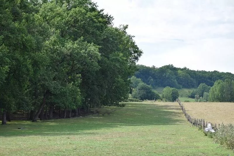 Ferme laitière, Montauban, Au Clair de la Brune