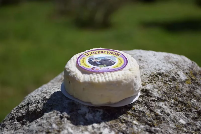 Ferme laitière, Montauban, Au Clair de la Brune
