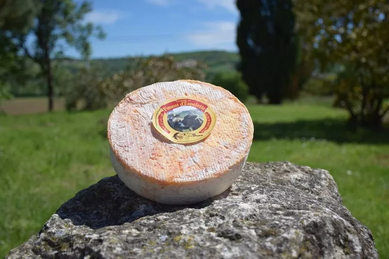Ferme laitière, Montauban, Au Clair de la Brune