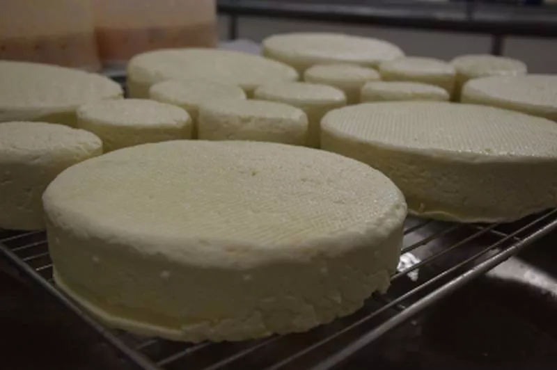 Ferme laitière, Montauban, Au Clair de la Brune