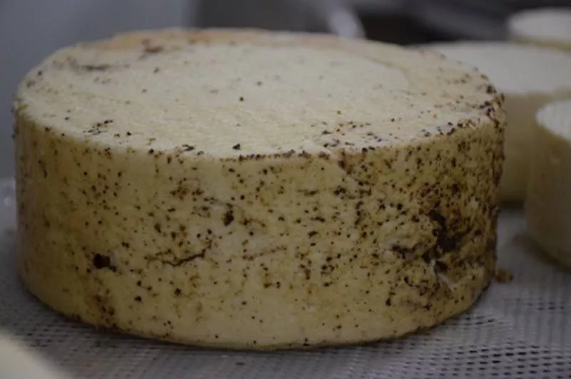 Ferme laitière, Montauban, Au Clair de la Brune