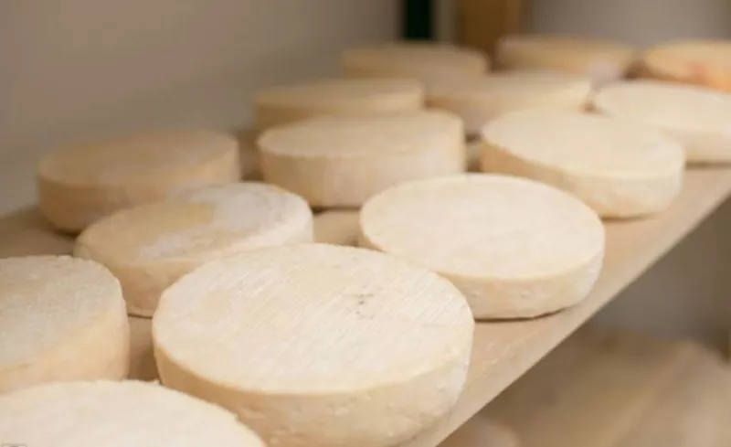 Ferme laitière, Montauban, Au Clair de la Brune