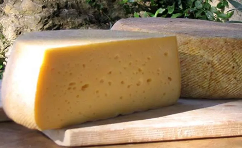 Ferme laitière, Montauban, Au Clair de la Brune