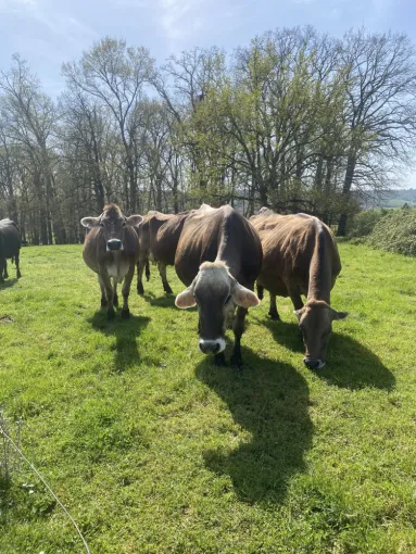 Activité ludique et originale à faire en famille proche de Toulouse, Montauban, Au Clair de la Brune