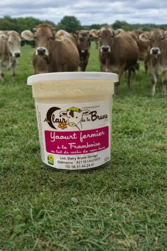 Retour des yaourts à la framboise au lait de notre ferme, Montauban, Au Clair de la Brune