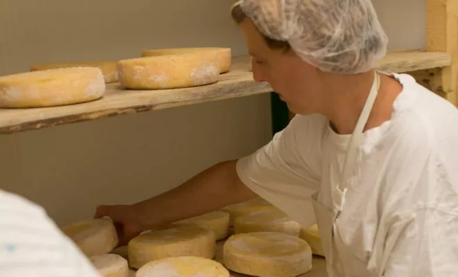 Découvrez notre famille, Montauban, Au Clair de la Brune