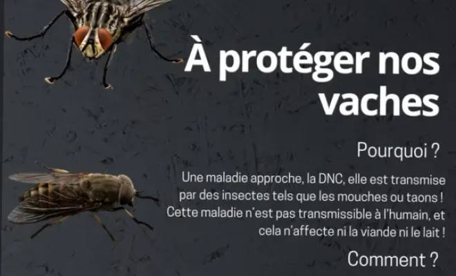 Les visites à la ferme reprennent pour les vacances de février chez Au Clair de la Brune, Montauban, Au Clair de la Brune