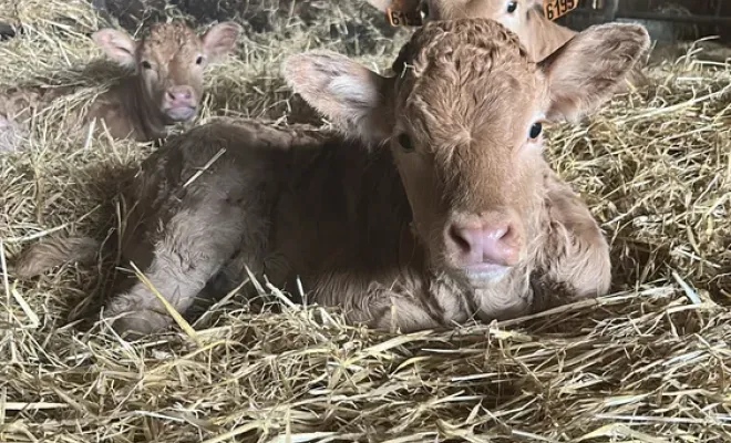 Les visites à la ferme reprennent pour les vacances de février chez Au Clair de la Brune, Montauban, Au Clair de la Brune